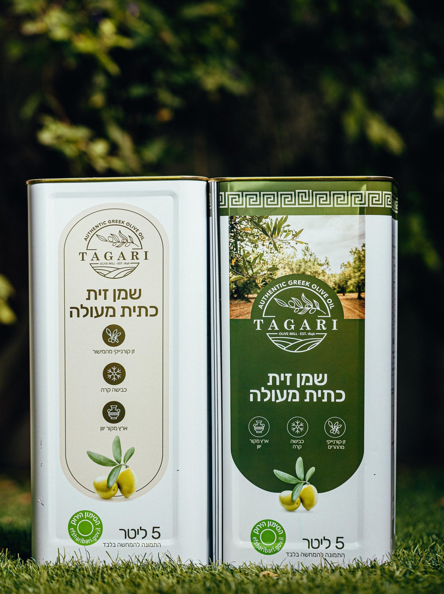 שמן זית קורנייקי הר 5 ליטר